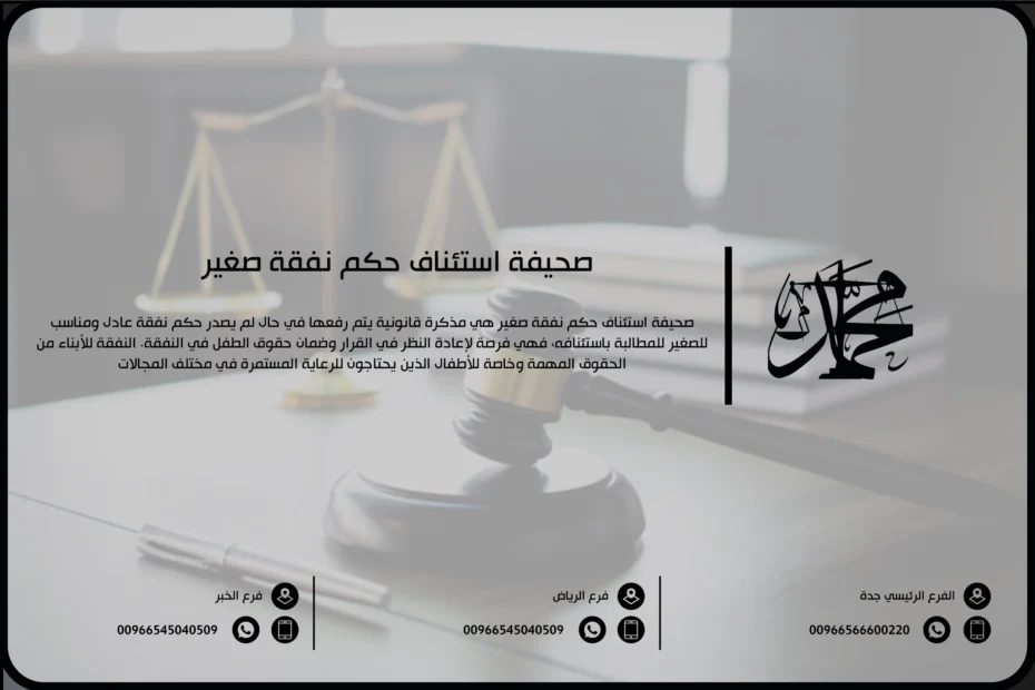 صحيفة استئناف حكم نفقة صغير