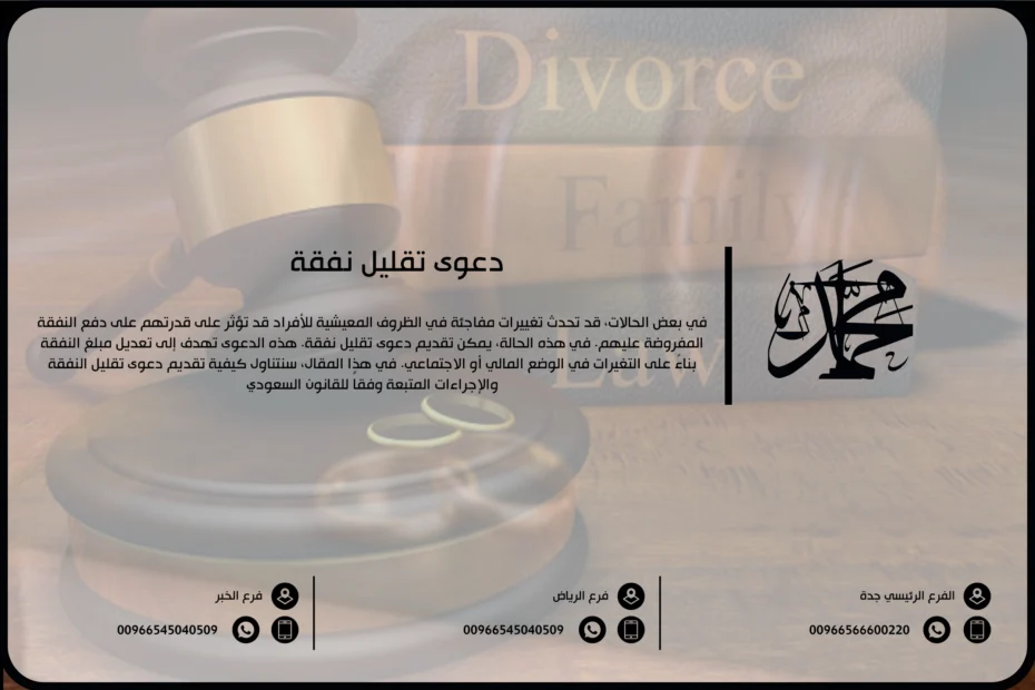 دعوى تقليل نفقة